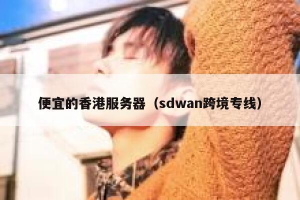 便宜的香港服务器（sdwan跨境专线）