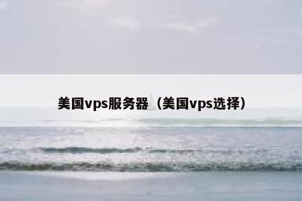 美国vps服务器（美国vps选择）