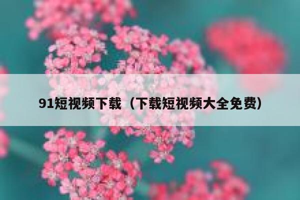 91短视频下载（下载短视频大全免费）