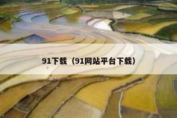 91下载（91网站平台下载）