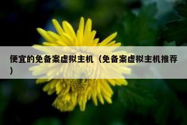 便宜的免备案虚拟主机（免备案虚拟主机推荐）