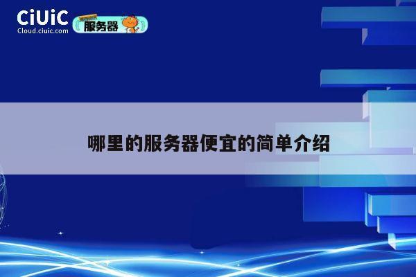 哪里的服务器便宜的简单介绍
