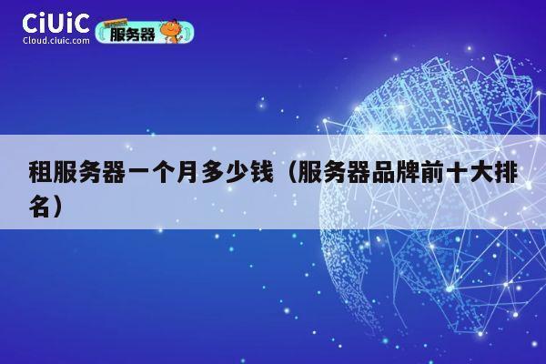 租服务器一个月多少钱（服务器品牌前十大排名）