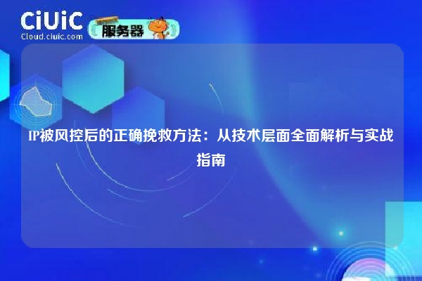 IP被风控后的正确挽救方法：从技术层面全面解析与实战指南