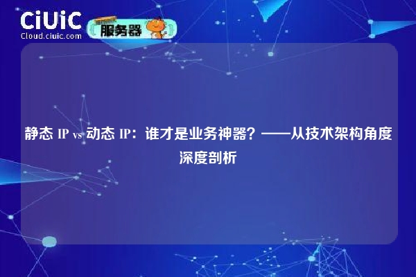 静态 IP vs 动态 IP：谁才是业务神器？——从技术架构角度深度剖析