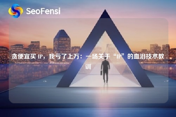 贪便宜买 IP，我亏了上万：一场关于“IP”的血泪技术教训