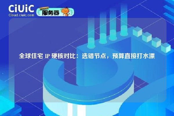 全球住宅 IP 硬核对比：选错节点，预算直接打水漂