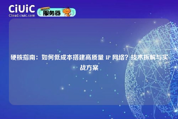 硬核指南：如何低成本搭建高质量 IP 网络？技术拆解与实战方案