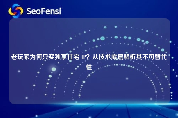 老玩家为何只买独享住宅 IP？从技术底层解析其不可替代性