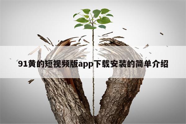 91黄的短视频版app下载安装的简单介绍