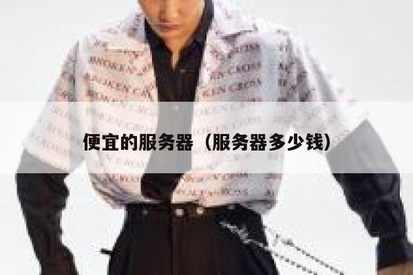便宜的服务器（服务器多少钱）