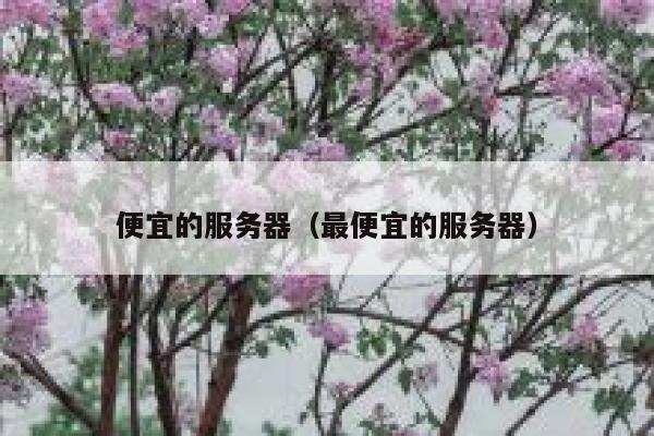 便宜的服务器（最便宜的服务器）