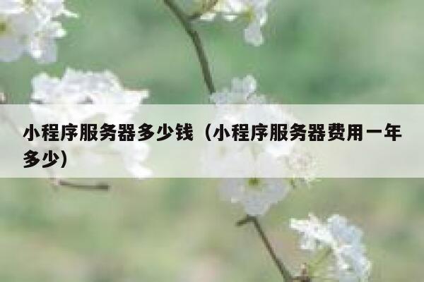 小程序服务器多少钱（小程序服务器费用一年多少）