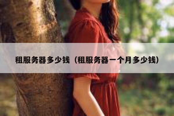 租服务器多少钱（租服务器一个月多少钱）