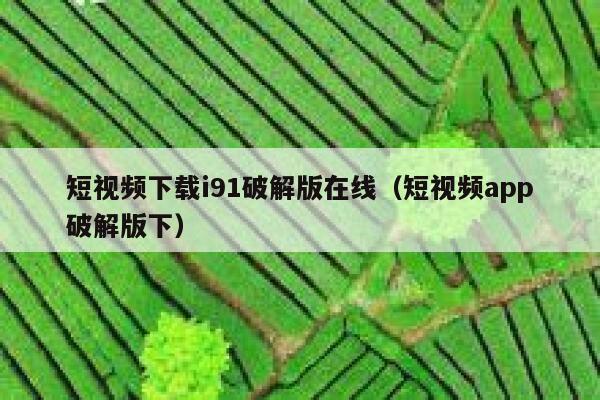 短视频下载i91破解版在线（短视频app破解版下）
