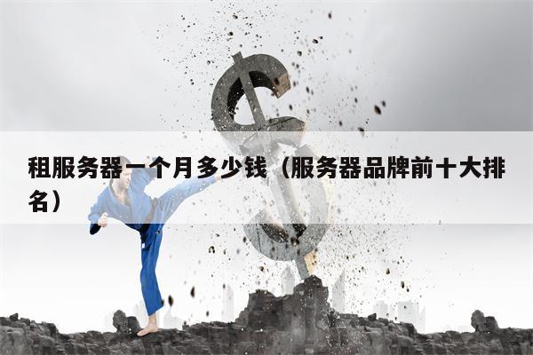 租服务器一个月多少钱（服务器品牌前十大排名）
