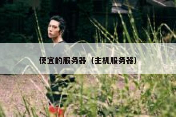 详细阅读:便宜的服务器(主机服务器) 便宜的服务器(主机服务器)